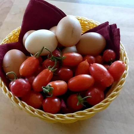 Appartement Casa Di Ale,gabry E Nina